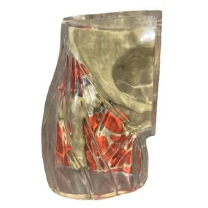 Vintage Merck Hip Joint Anatomical Model Midcentury Complete Set‎